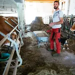 Rabenreith Vendégház Grossraming