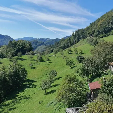 Πανσιόν Rabenreith Grossraming