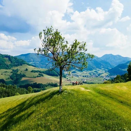 ゲストハウス Rabenreith 3*