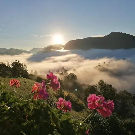 Πανσιόν Rabenreith Grossraming