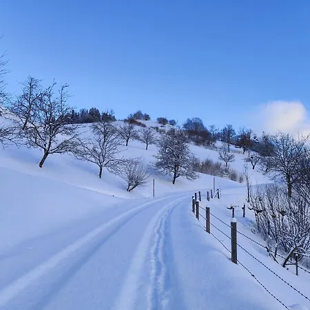 Maison d'hôtes Rabenreith Grossraming
