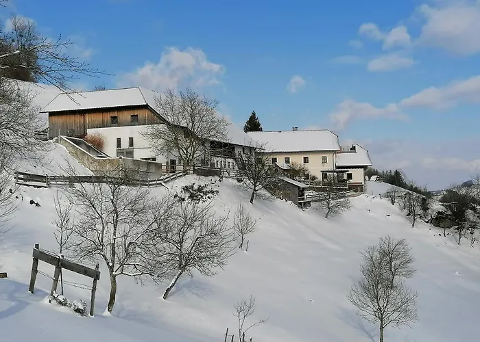 Guest house Rabenreith 3*