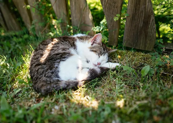 Rabenreith Grossraming