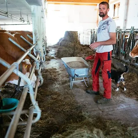 Rabenreith Vendégház Grossraming