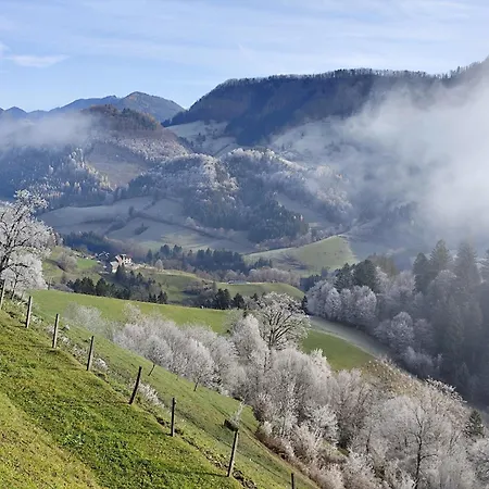 Konukevi Rabenreith Grossraming