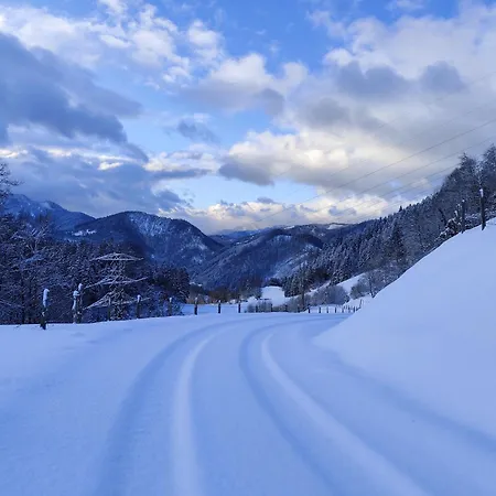 Konukevi Rabenreith Grossraming