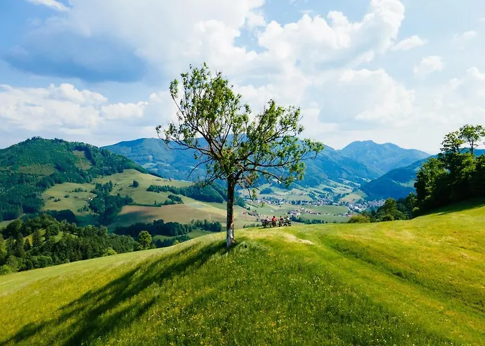 Konukevi Rabenreith 3*