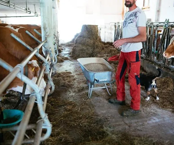 Rabenreith ゲストハウス Grossraming