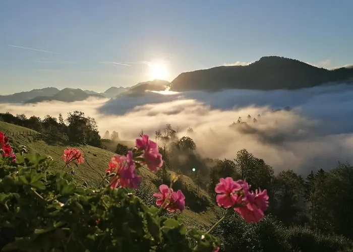 ゲストハウス Rabenreith Grossraming