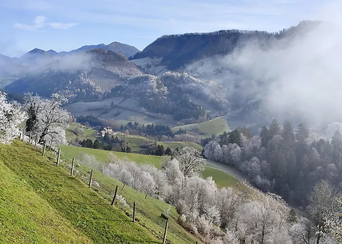 Konukevi Rabenreith Grossraming