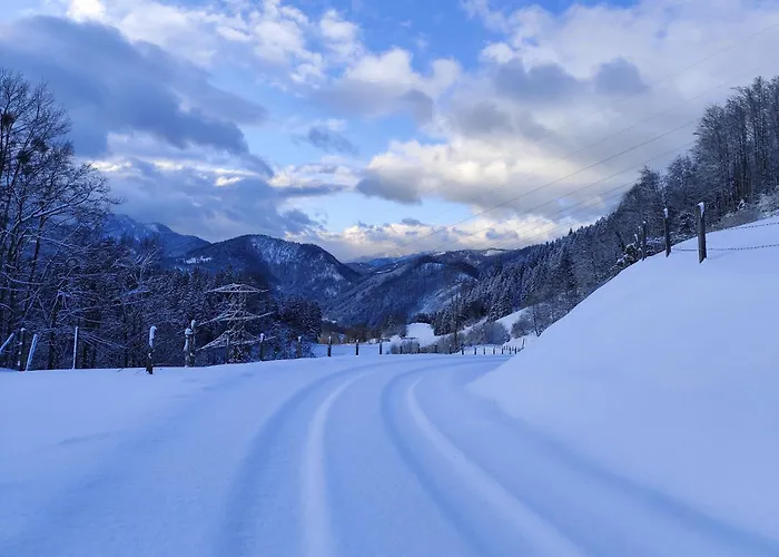 Konukevi Rabenreith Grossraming